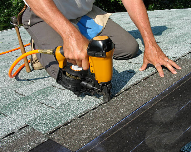 Best Roof Leak Repair  in Kenova, WV